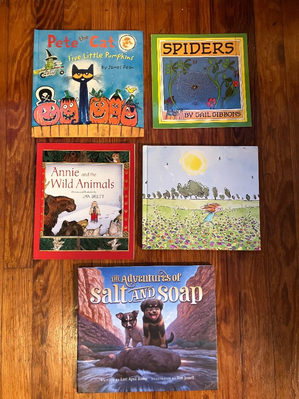 5 Kids Picture Books Bundle – Pete the Cat, Jan Brett, Gail Gibbons & More